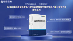 【专精特新】垃圾焚烧发电行业市场份额证明材